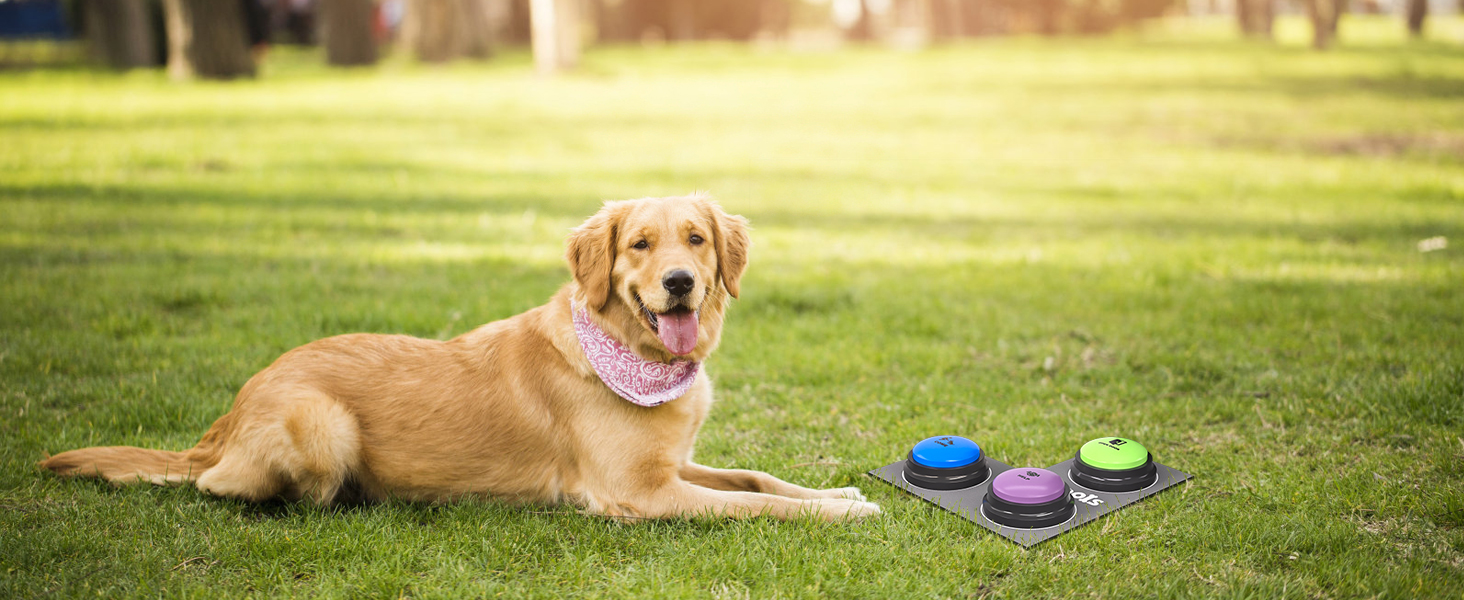 Speaking Button for Dogs