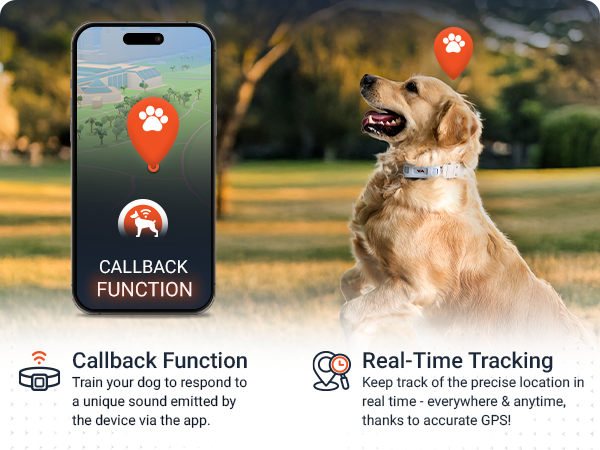 pet loaction tracker