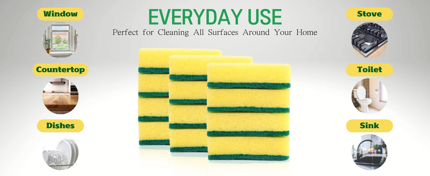 sponge everyday use