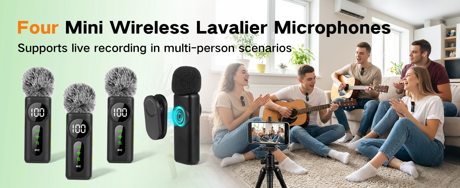mini mic