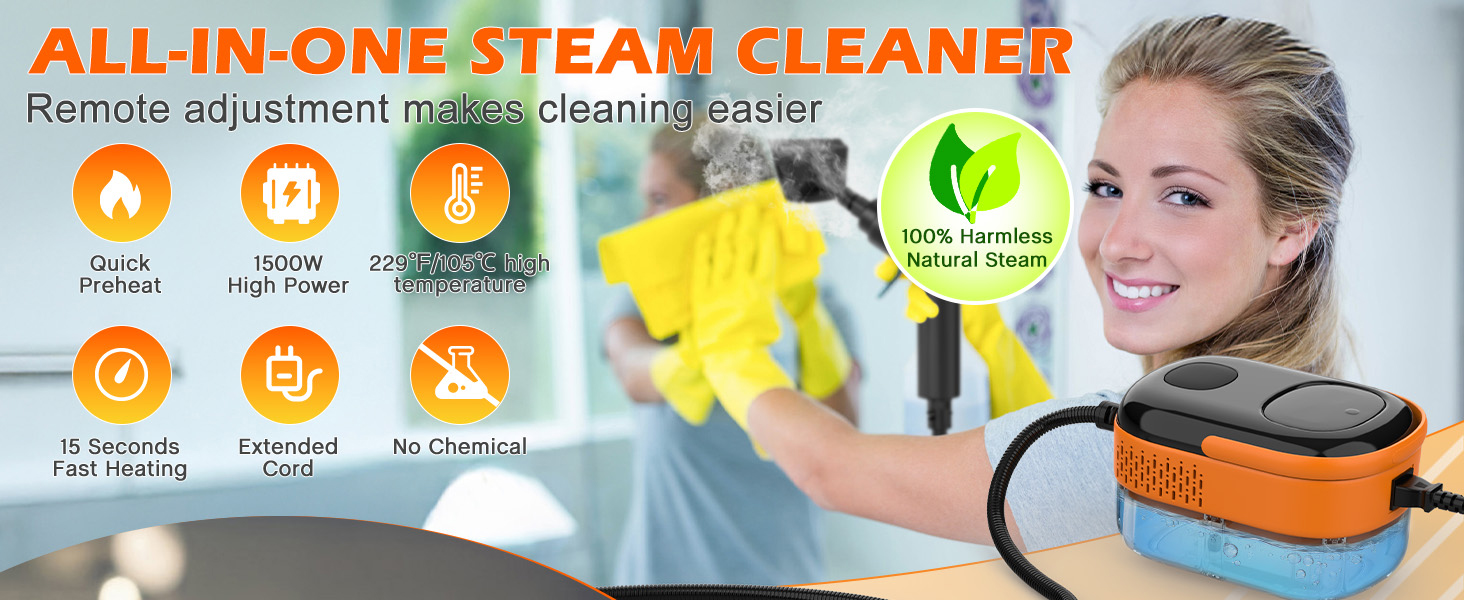 steam cleaner