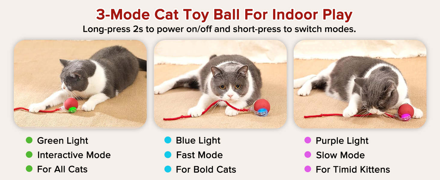 cat toy ball