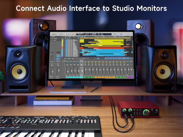  6.35mm (1/4 Inch) TRS to XLR Cable