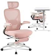 FLEXISPOT Foldex Ergonomic Office Chair, Folding Chair for Small Spaces with Lumbar Support, Flip...