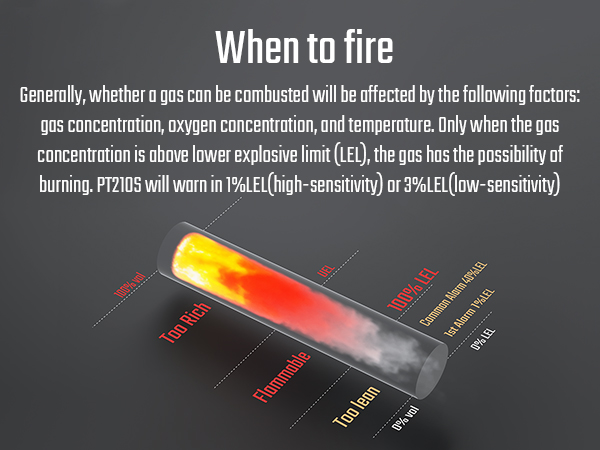 natural gas detector