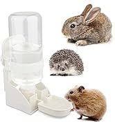 Rabbit Water Bottle, [500ml/17oz] Diyife Hamster Water Bottle Guinea Pig Water Bottle No Drip, Ha...