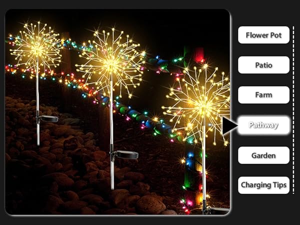 solar plant lights