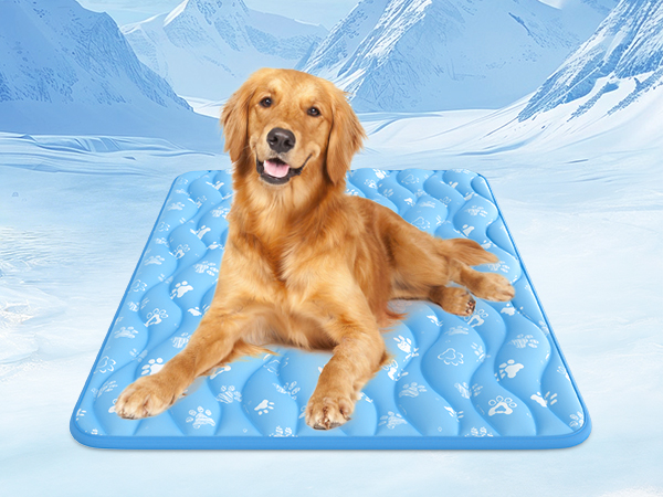 Rywell Super-Absorbent Cooling Mat for Dogs