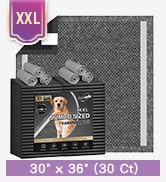 charcoal puppy pads