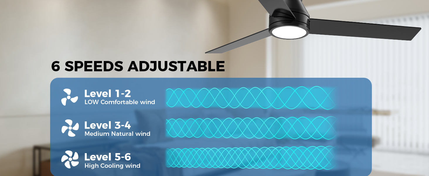 Ceiling Fans with Lights