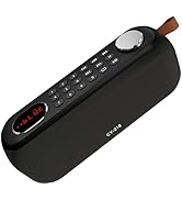 Portable Bluetooth Speaker FM Radio Digital, Support USB/SD Card MP3 Music Player/AUX/REC, Build-...