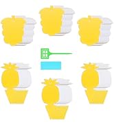 Mosalogic Fruit Fly Trap for Indoor 60 Pack Fungus Gnat Traps for House Use Yellow Sticky Bug Tra...