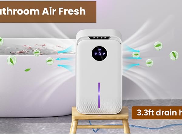 Dehumidifier for bathroom