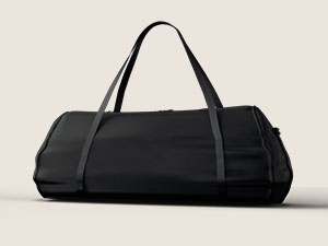 laptop and projector stand