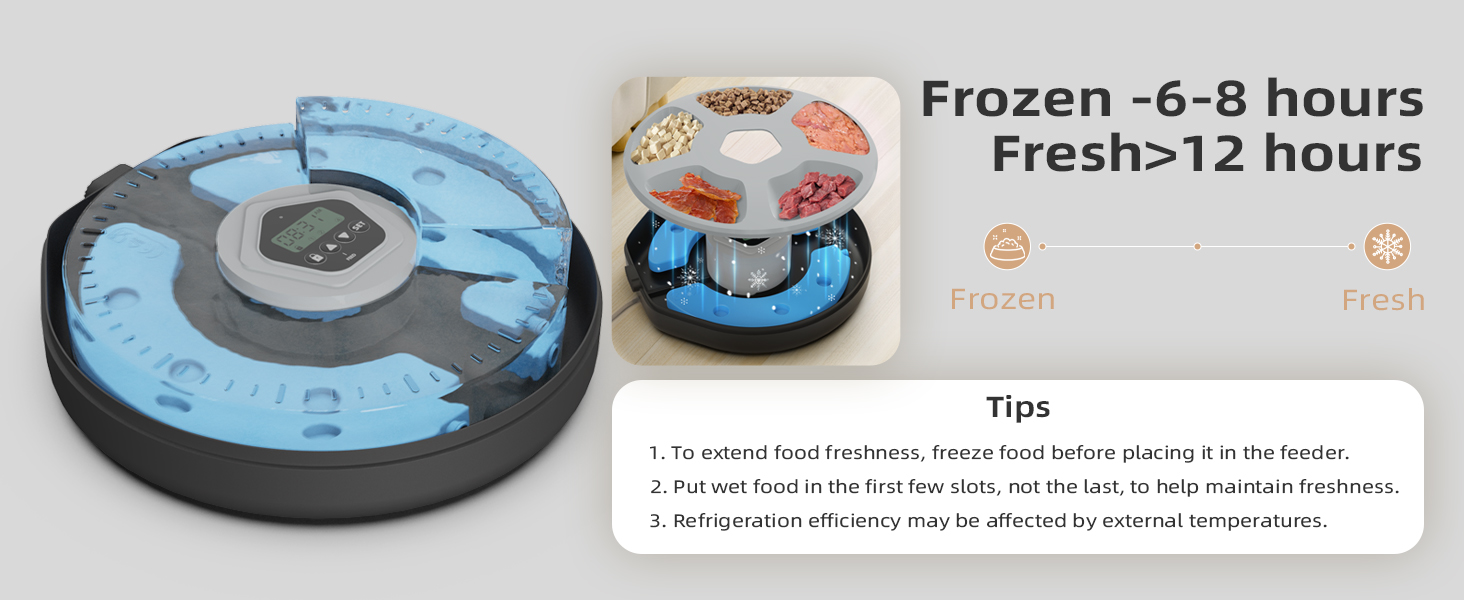 Automatic Pet Feeder