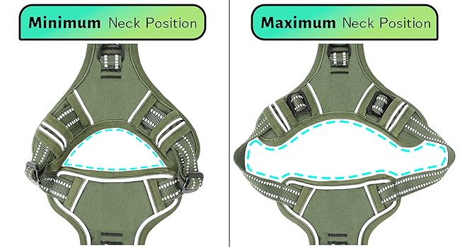 dog harness midium size dog