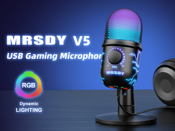 V5 computer microphone