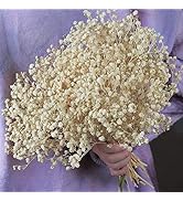 2500+ Dried Baby's Breath Flowers Bouquet - Natural White Dry Flowers Bulk, Gypsophila Branches f...