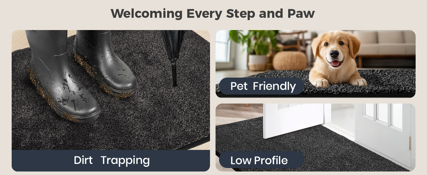 Dirt Trapping Doormats Pet Friendly Low Profile