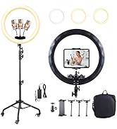 Large Ring Light with Stand, 19" Ring Light with 75" Tripod &amp; Wheels, 6500K Dimmable Ringlight fo...