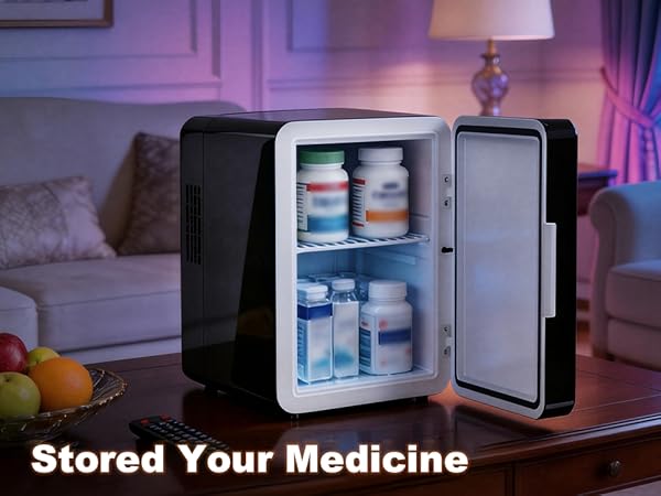 portable mini fridge