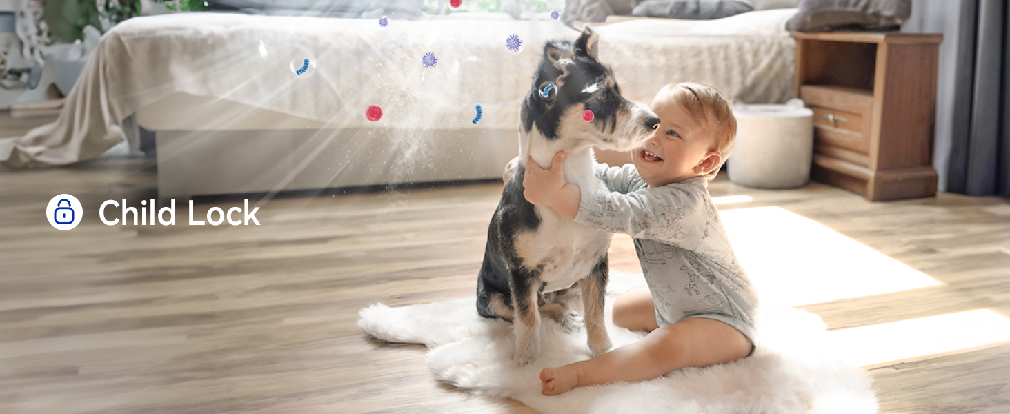 Removes Pets Hair Dust