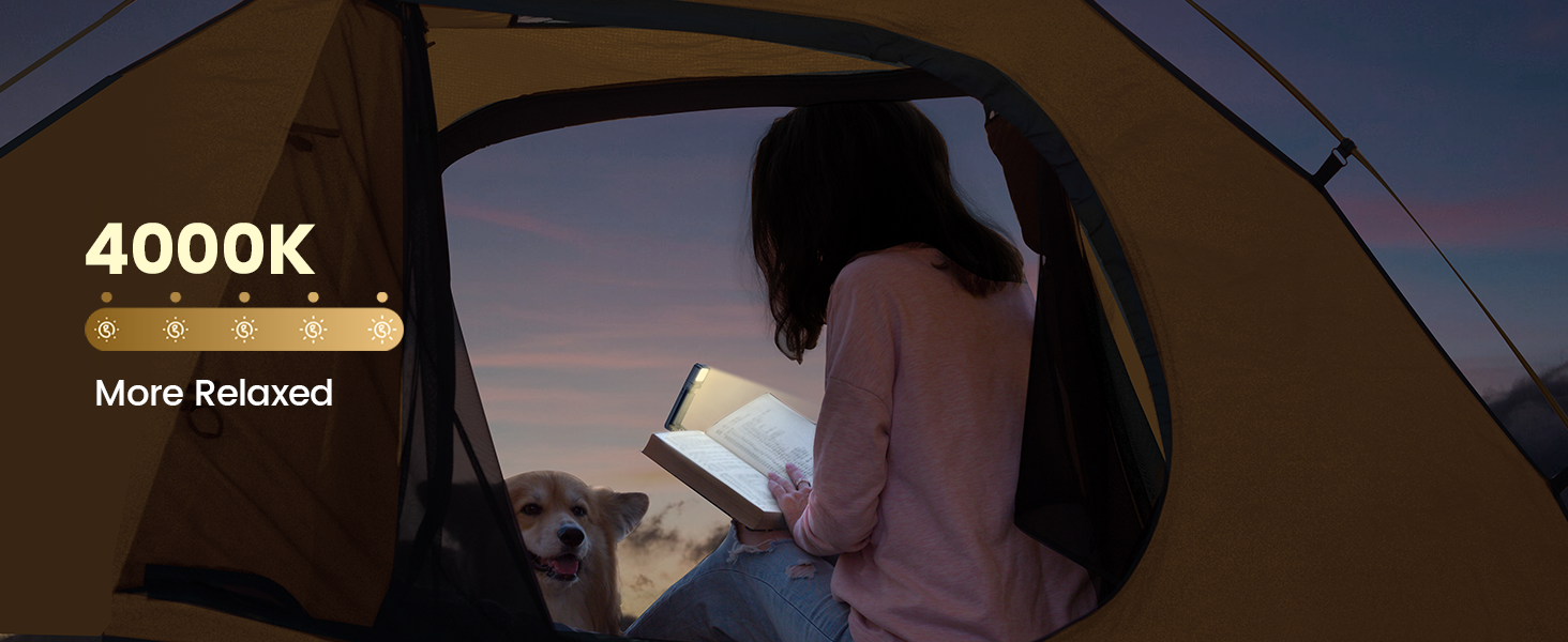 book reading accessories, bed lamps for headboard