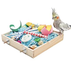 Bird Foraging Toys Box