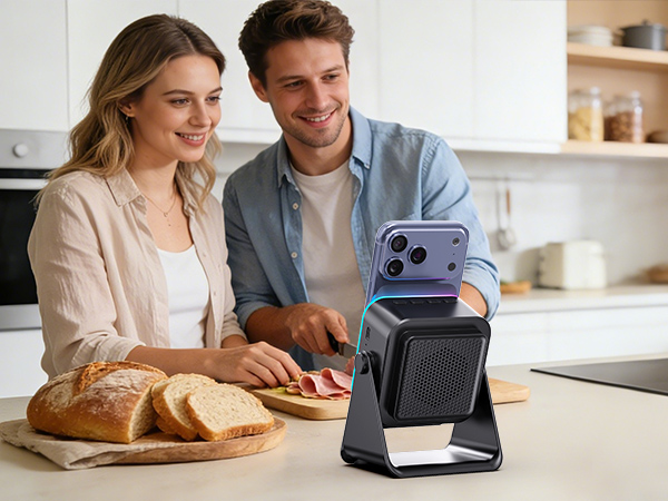 wireless induction speaker