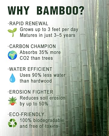 bamboo