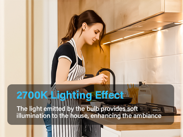 two prong light bulb