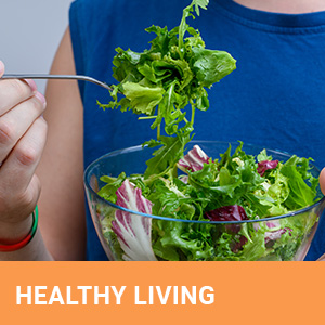salad spinner