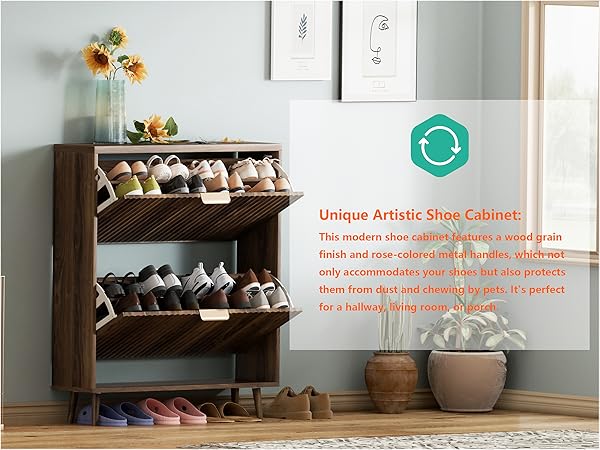 wood shoe organizer