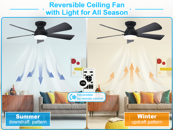 black ceiling fan