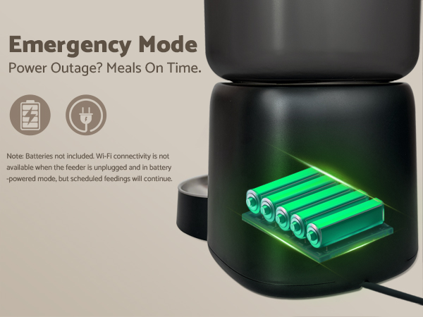 Automatic Cat Feeder