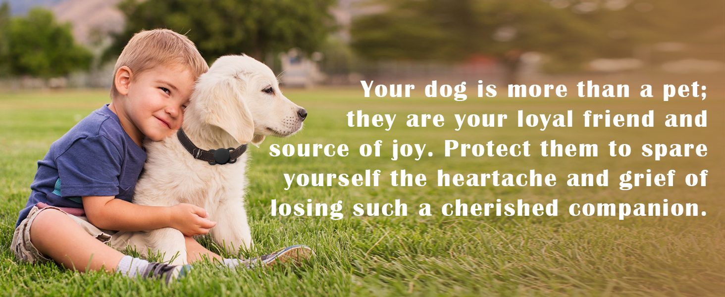 smart activity tracker for cats