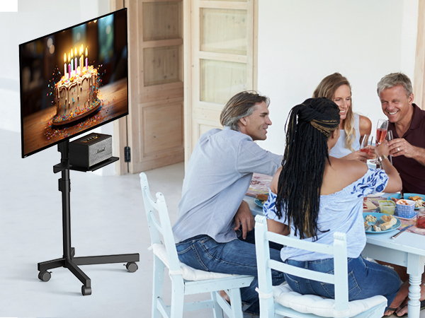 Mobile TV Cart