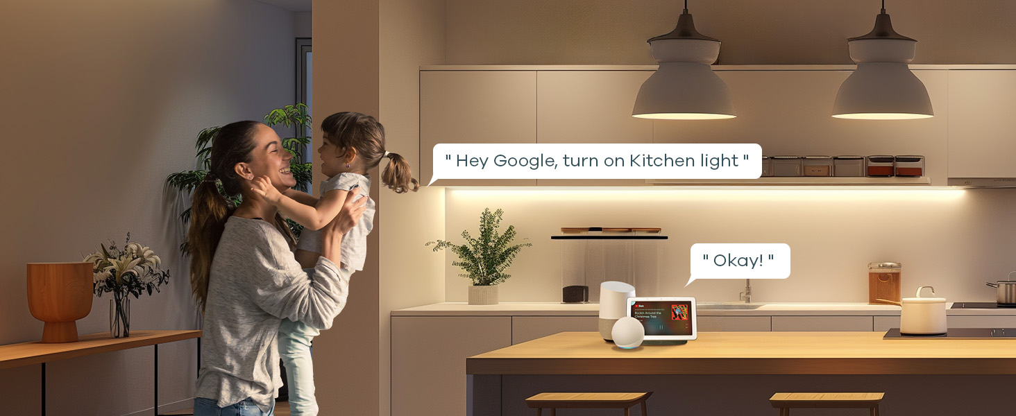 google home