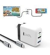 Mirabox 65W Portable Dock Charger for Nintendo Switch, Compatible with Switch OLED/Steam Deck/ROG...