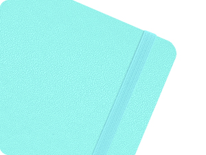 Paperage Pocket Notebook
