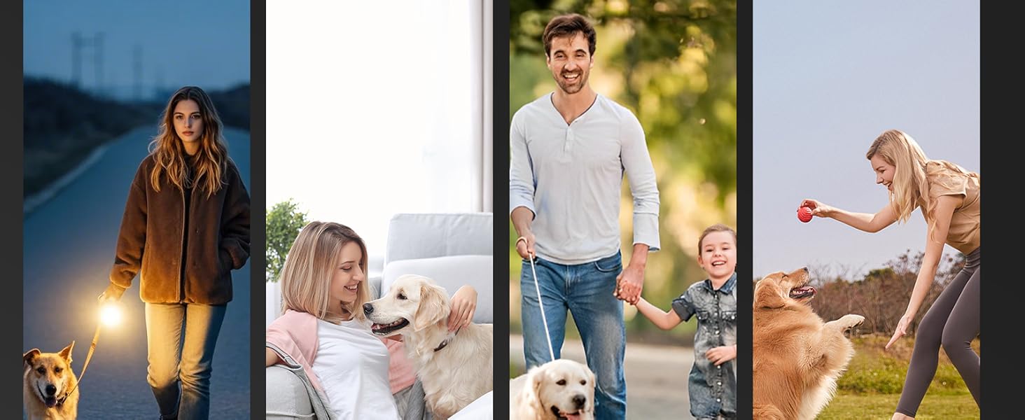 Dog Bark Deterrent Devices