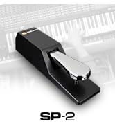 M-Audio SP-2 - Universal Sustain Pedal with Piano Style Action For MIDI Keyboards, Digital Pianos...