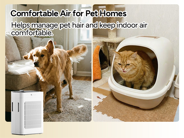 air purifier for pets