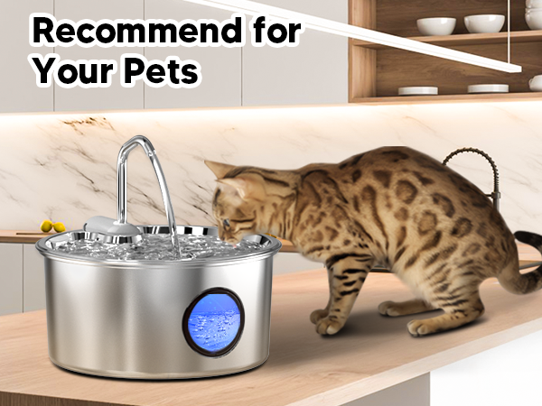 cat fountains for drinking