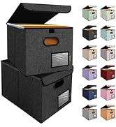 BALEINE File Organizer Box with Lid, Collapsible File Folder Organizer with Plastic Slide, Hangin...