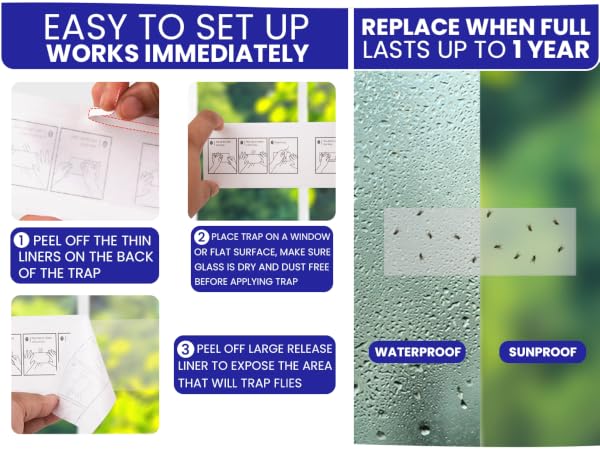 Easy to set up sticky fly traps for indoors. Work immediately. Replace after 1 year or when full.