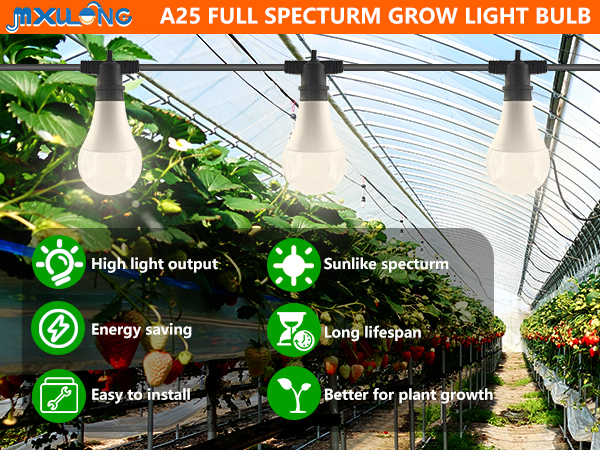 Product presentation