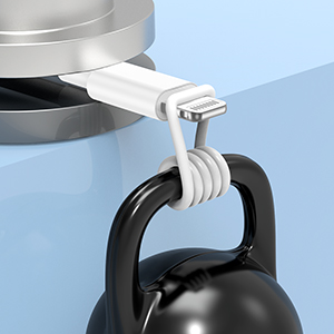 USB C to Lightning Cable