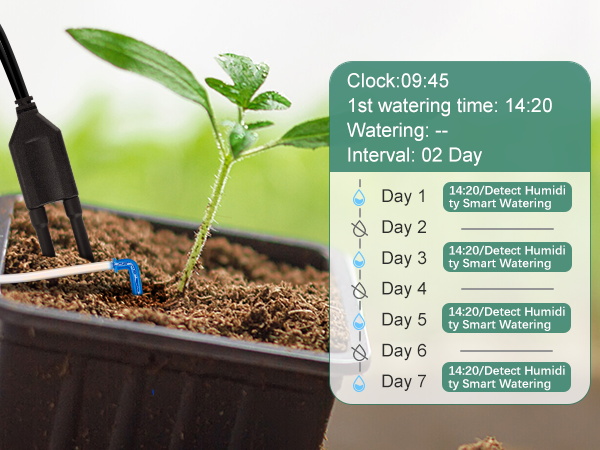 automatic plant waterer