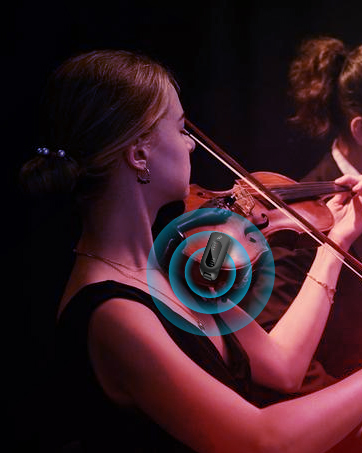 violin